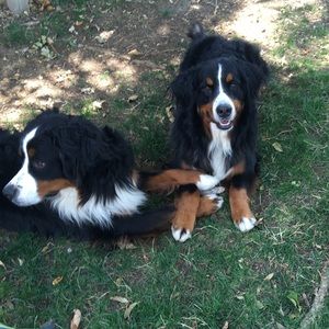 Meet your Posher, Jaydon